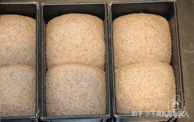 初学者用烤箱做面包?我们做了4款全麦粉占比不同的吐司,到底哪款最适合减脂?