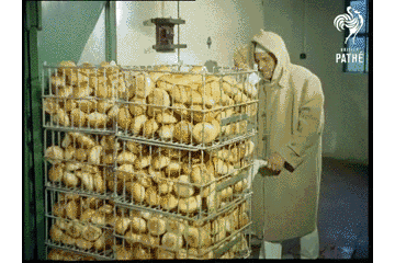 面包冷冻能保存多久，1957年，“冰冻”的面包？！早期面包加工厂原来长这样！