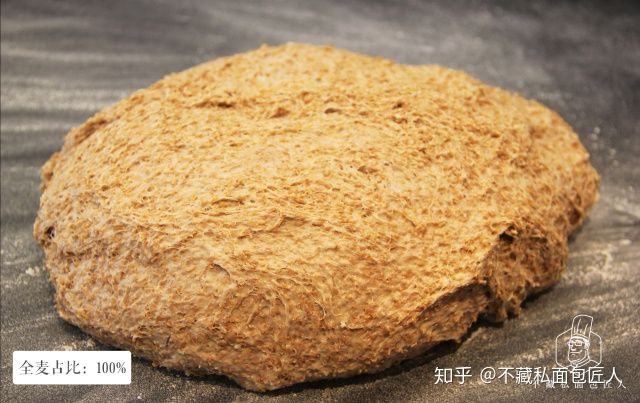 初学者用烤箱做面包?我们做了4款全麦粉占比不同的吐司,到底哪款最适合减脂?