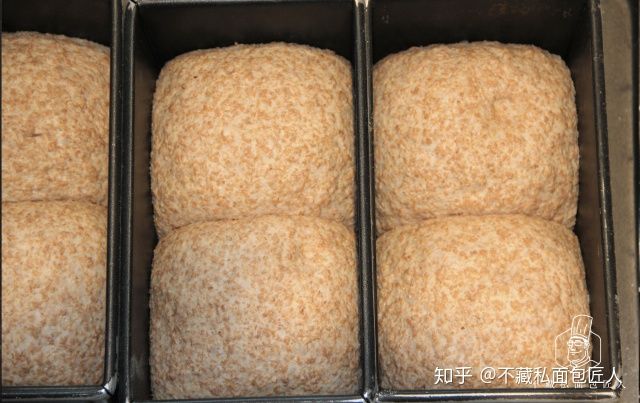 初学者用烤箱做面包?我们做了4款全麦粉占比不同的吐司,到底哪款最适合减脂?