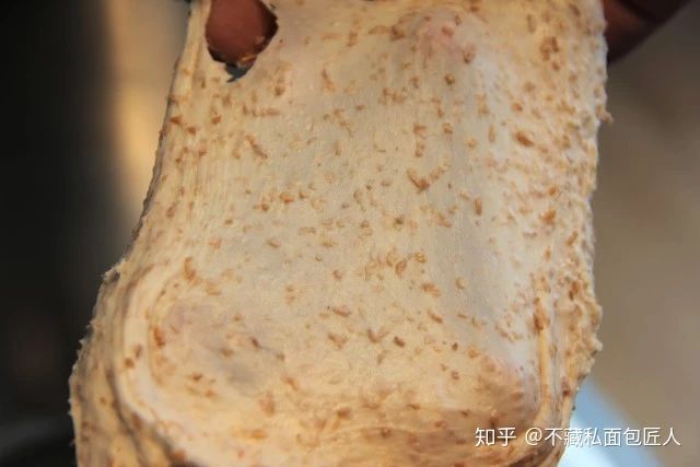 初学者用烤箱做面包?我们做了4款全麦粉占比不同的吐司,到底哪款最适合减脂?
