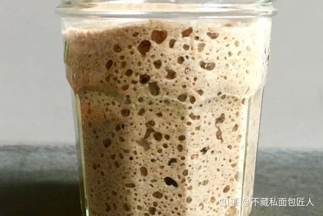 老面面包的做法和配方,当老面换了国籍,会有什么不同?