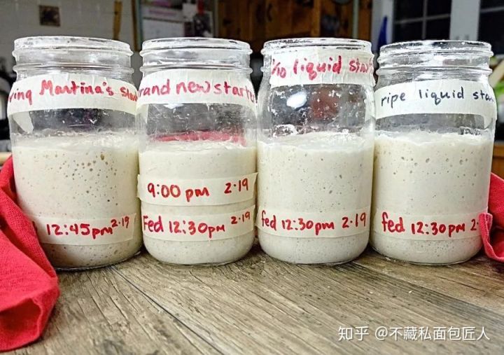 自制酵素的做法,关于自制酵种的10个必备的理论知识!