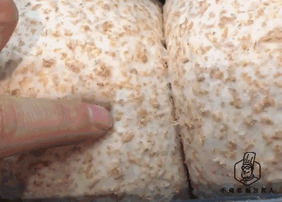 初学者用烤箱做面包?我们做了4款全麦粉占比不同的吐司,到底哪款最适合减脂?
