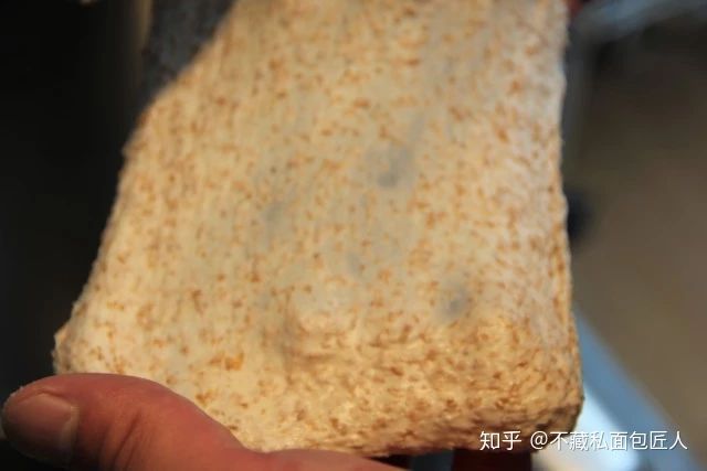 初学者用烤箱做面包?我们做了4款全麦粉占比不同的吐司,到底哪款最适合减脂?