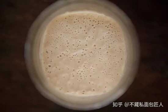面包发酵的原理,这份酸面团酵种自制指南,听说看了都会做?