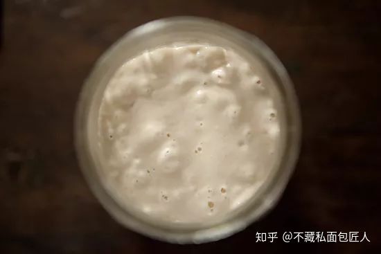 面包发酵的原理,这份酸面团酵种自制指南,听说看了都会做?