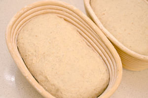 黑麦乡村面包 制作方法