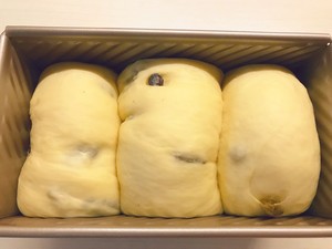 葡萄干吐司（泡面法）  制作方法