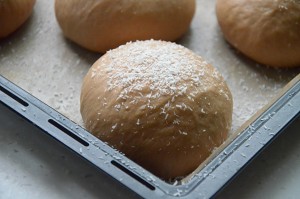 巧克力椰蓉面包(45升烤箱记录) 制作方法