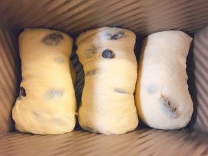 葡萄干吐司（泡面法）  制作方法