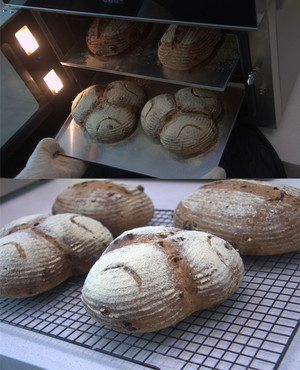 燕麦核桃软欧包 制作方法