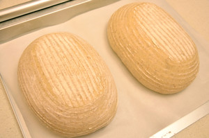 黑麦乡村面包 制作方法