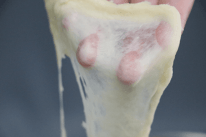 丹麦牛角包 制作方法