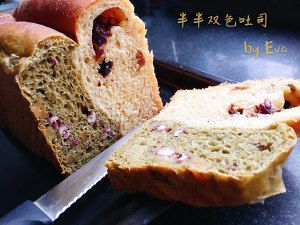 半半双色吐司(无油) 制作方法