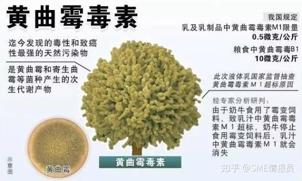 为什么越来越多人愿意选择私家烘焙而不选择实体蛋糕店?