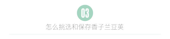香草豆荚到底该怎么充分利用?