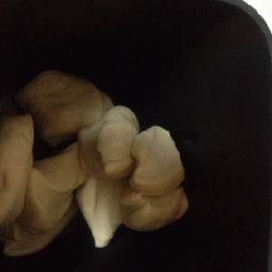 【最好吃的吐司～70%中种北海道的做法步骤图】leibaobao00-制作