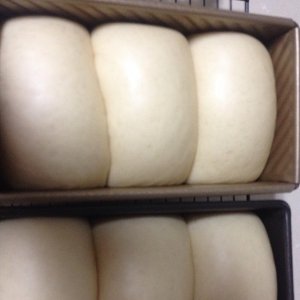 【最好吃的吐司～70%中种北海道的做法步骤图】leibaobao00-制作