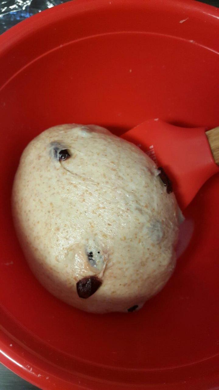 【全麦蔓越莓软式欧包(免揉)的做法步骤图】MonicaFolsom-制作