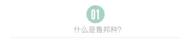 面包的那些知识,鲁邦种并不神秘,告诉你法国面包独具风味的秘密!