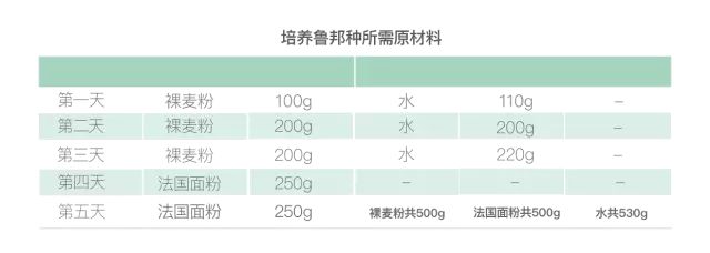 面包的那些知识,鲁邦种并不神秘,告诉你法国面包独具风味的秘密!