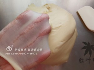 【波兰种奶香吐司（玉米油）的做法步骤图】红叶99-制作