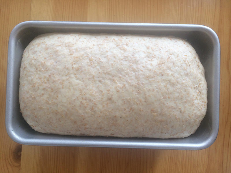 【低脂全麦面包(BBA配方)的做法步骤图】米二乔-制作