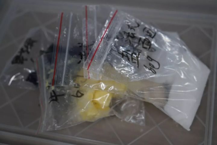 怎样揉出大师级的面团?「最佳搅拌速度」如何揉面光滑?如何揉面团出膜?