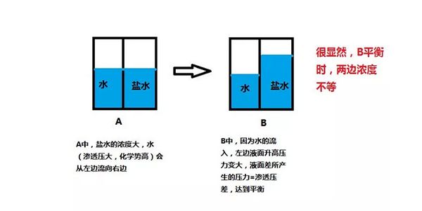 调味盐&雪花盐&海藻盐做出的面包,口味差别有多大?