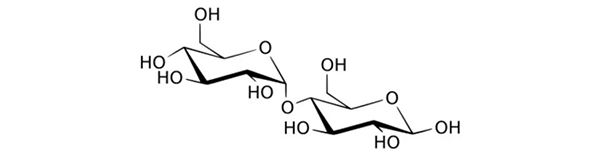 面包中的麦芽精or麦芽糖有何区别?烘焙小白常忽视这一点
