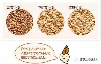 「7个步骤」教你如何区分日本粉、法国粉和国产粉?烘焙职人进阶篇
