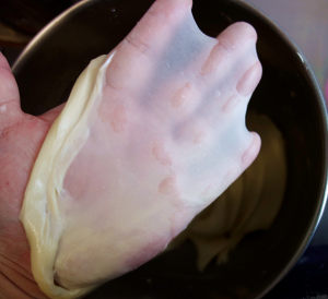 【波兰种牛奶吐司的做法步骤图,怎么做好吃】啊呜511-制作