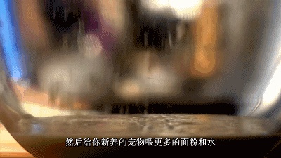谁说面包“好吃与健康”不能兼得?用好它就可以!