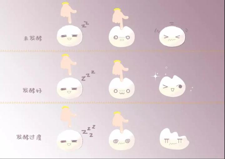 关于面包的发酵:再无第二全的干货集!