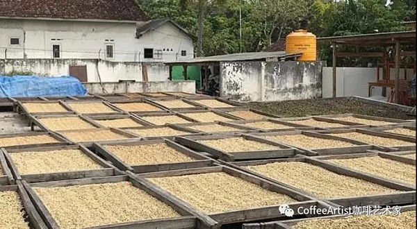 咖啡怎么入门?20个咖啡术语解读(一)