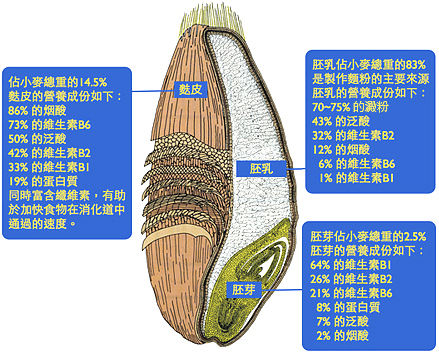你知道不一样种类的面粉到底有什么区别吗?教你怎样正确选择面粉