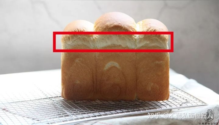 面包制作里的这些行话你都了解了吗?