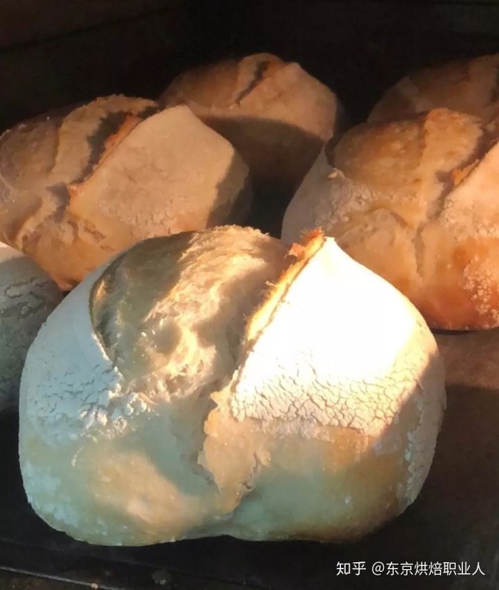 做面包的鲁邦种是什么?附上鲁邦种的配方分享
