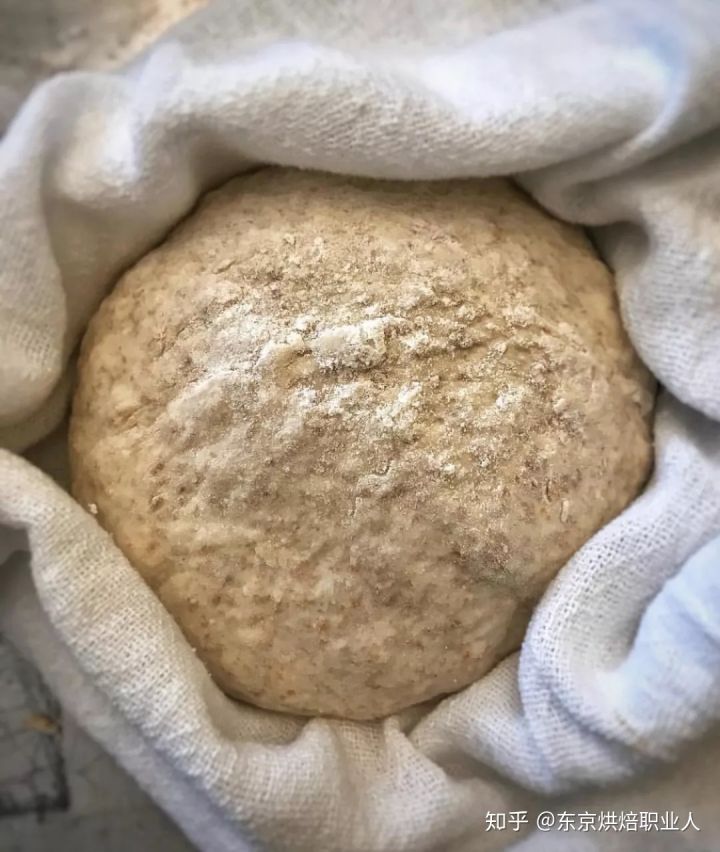做面包的鲁邦种是什么?附上鲁邦种的配方分享