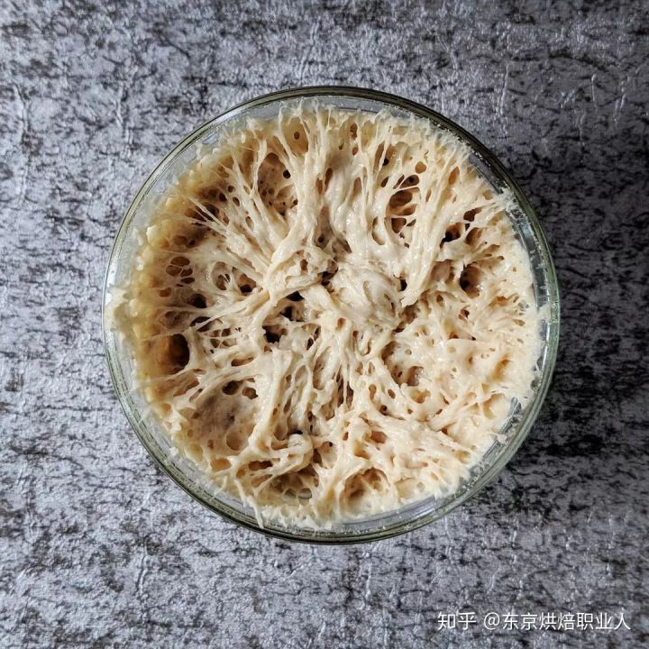 做面包的鲁邦种是什么?附上鲁邦种的配方分享