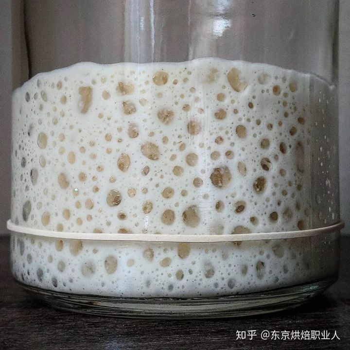 做面包的鲁邦种是什么?附上鲁邦种的配方分享