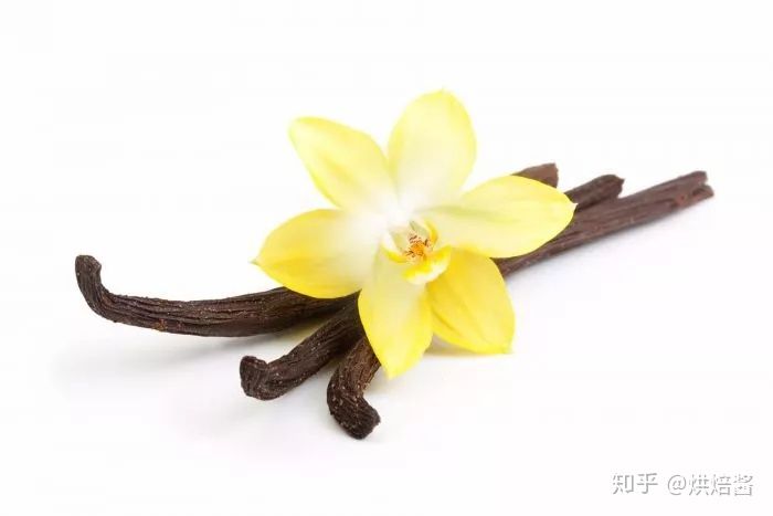 你跟我说香草籽是脏东西???