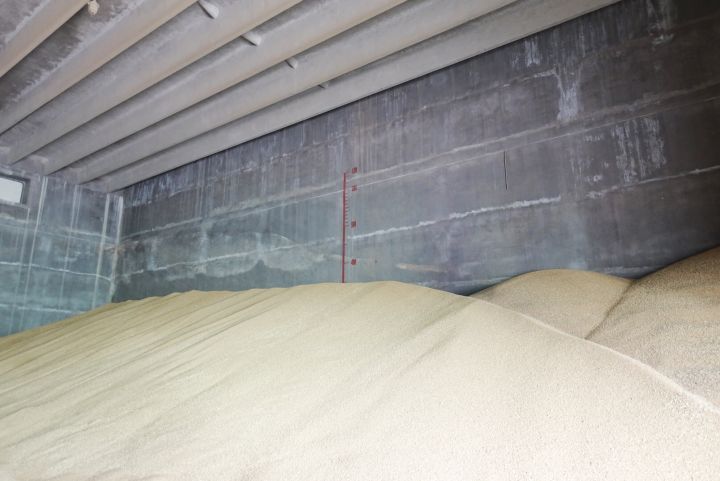 从小麦到面粉，好的面包师到最后，都会去种田.....