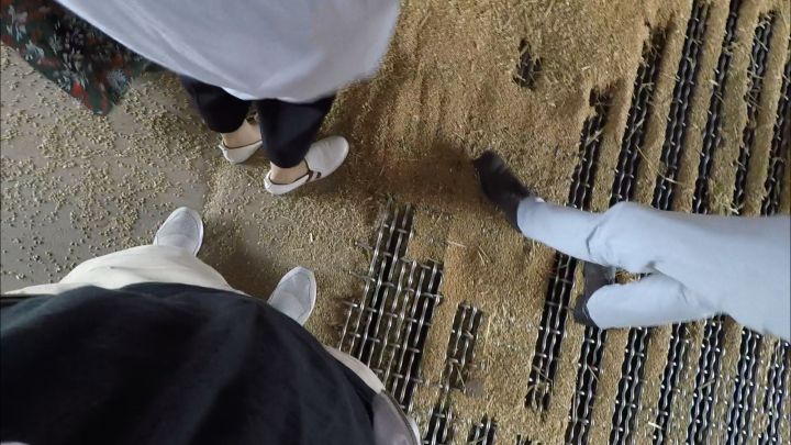 从小麦到面粉，好的面包师到最后，都会去种田.....