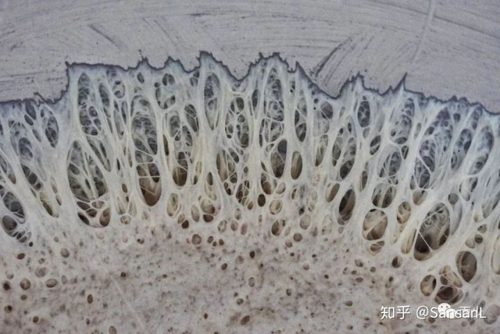 关于我眼中未来烘焙的一些