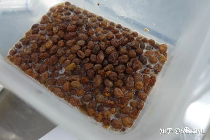 关于我眼中未来烘焙的一些