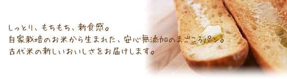 大米面包,做梦都想吃上一口