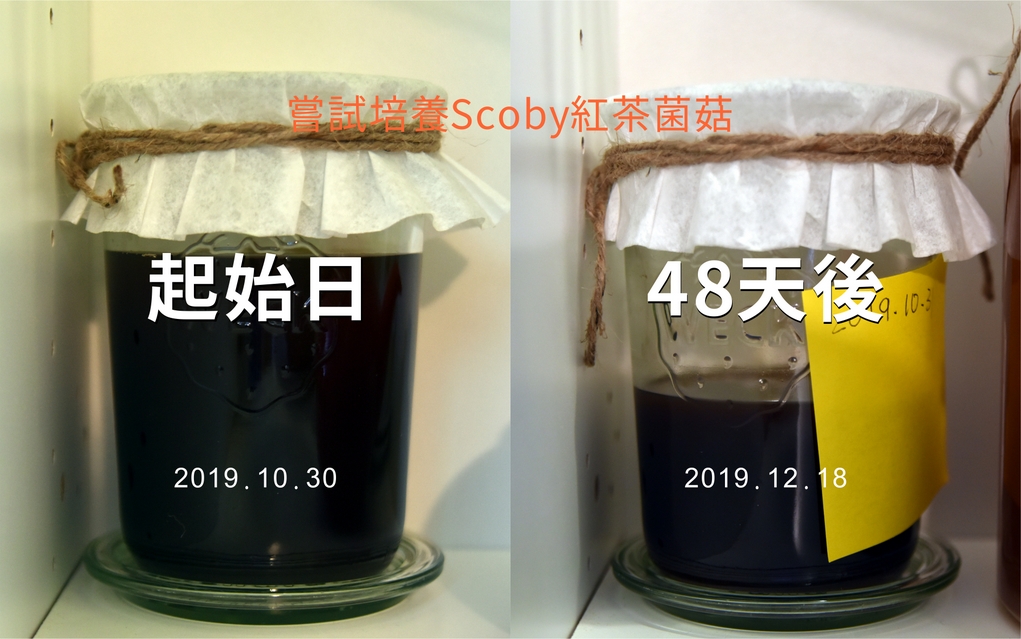 商业优格​​无法无限循环接种的原因？