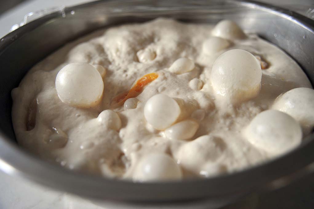 认识面团(中种法)的发酵与不同,中种法面包制作过程?